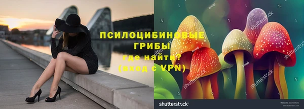 скорость Алексин